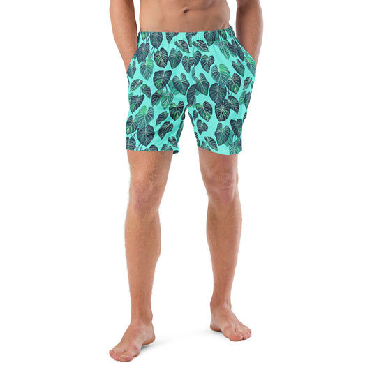 Philodendron gloriosum - Men's Swim Trunks