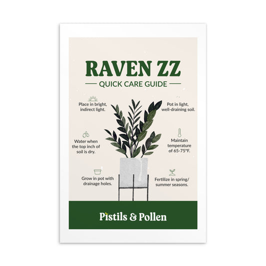 Raven ZZ - Quick Care Guide Card