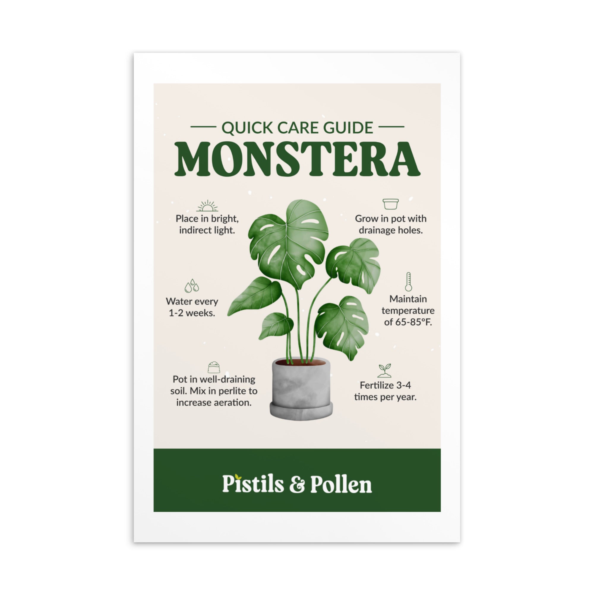 monstera plant care instructions Monstera