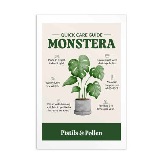 Monstera - Quick Care Guide Card
