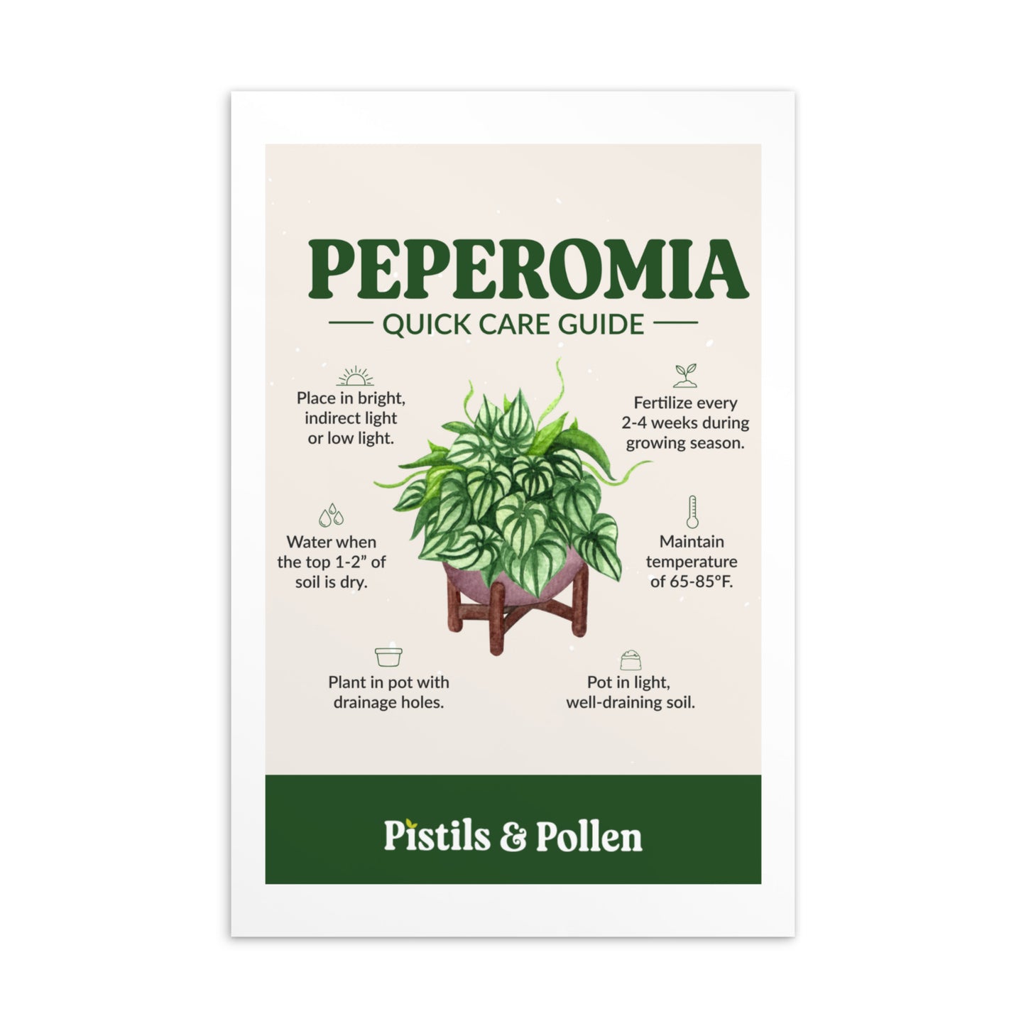Peperomia - Quick Care Guide Card
