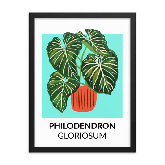 Philodendron gloriosum - Framed Print