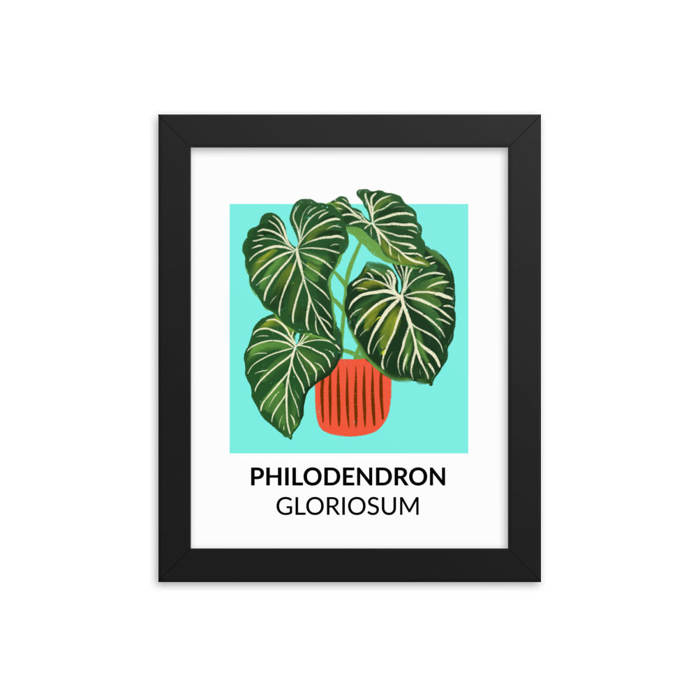 Philodendron gloriosum - Framed Print