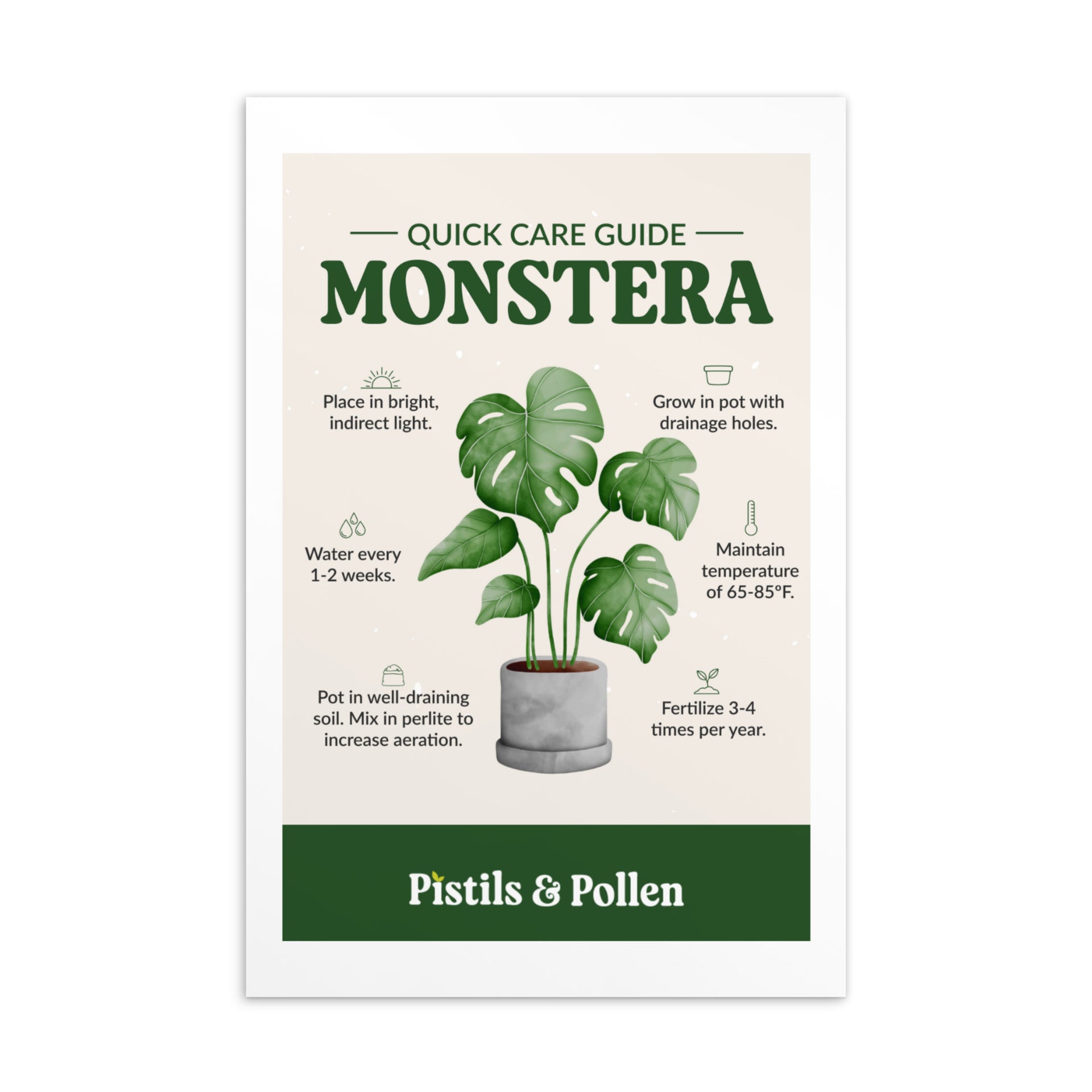 Monstera