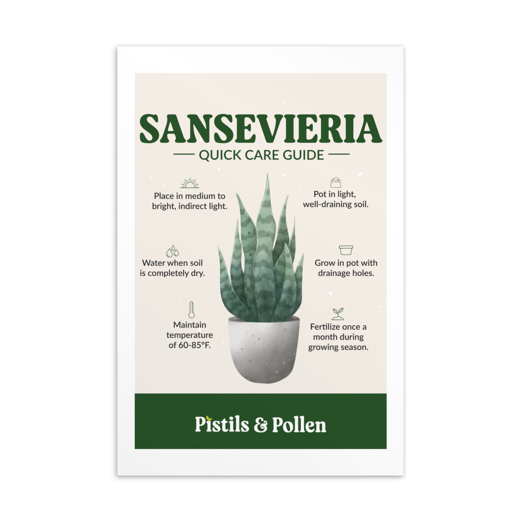 Sansevieria Quick Care Guide Card Inspired Botanical Design